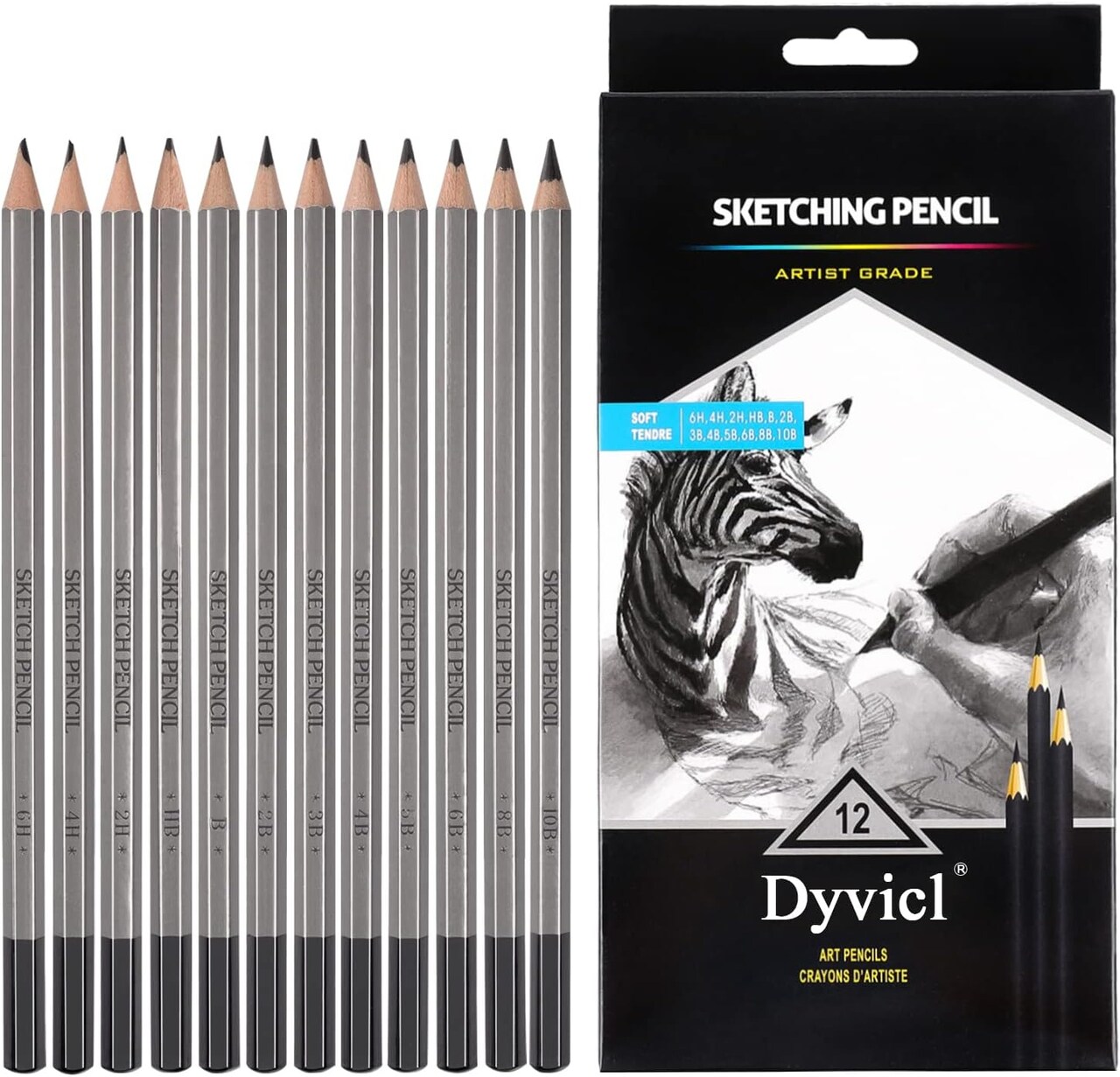 Professional Drawing Sketching Pencil Set - 12 Pieces Drawing Pencils 10B, 8B, 6B, 5B, 4B, 3B, 2B, B, HB, 2H, 4H, 6H Graphite Pencils for Beginners & Pro Artists